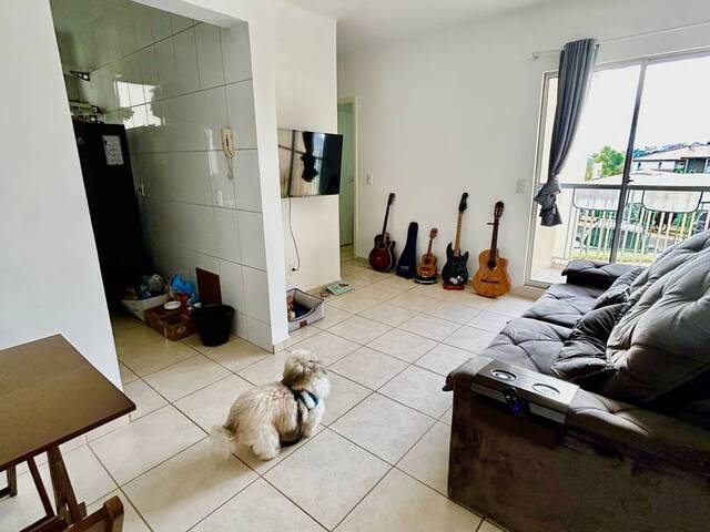 Apartamento para Locação em Taubaté - 5