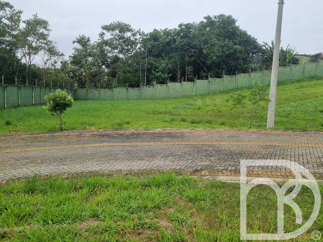 #111 - Área para Venda em Taubaté - SP - 3